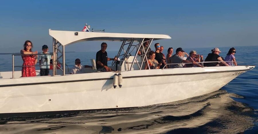 Umag: Dolphinwatching & sunset panorama tour - Why this two-hour Umag dolphin and sunset tour hits the right note