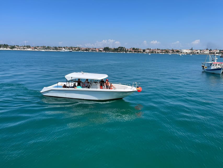Umag: Dolphinwatching & sunset panorama tour - Dolphin spotting in a marine protected area, with real expectations