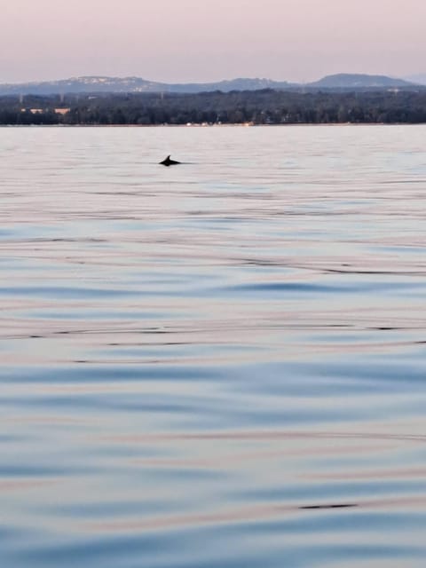 Umag: Dolphinwatching & sunset panorama tour - Views from the right side: Savudrija, Katoro, Zambratija, and Piran