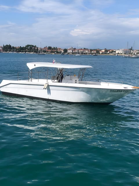 Umag: Dolphinwatching & sunset panorama tour - What you get included, plus the rules that shape the experience