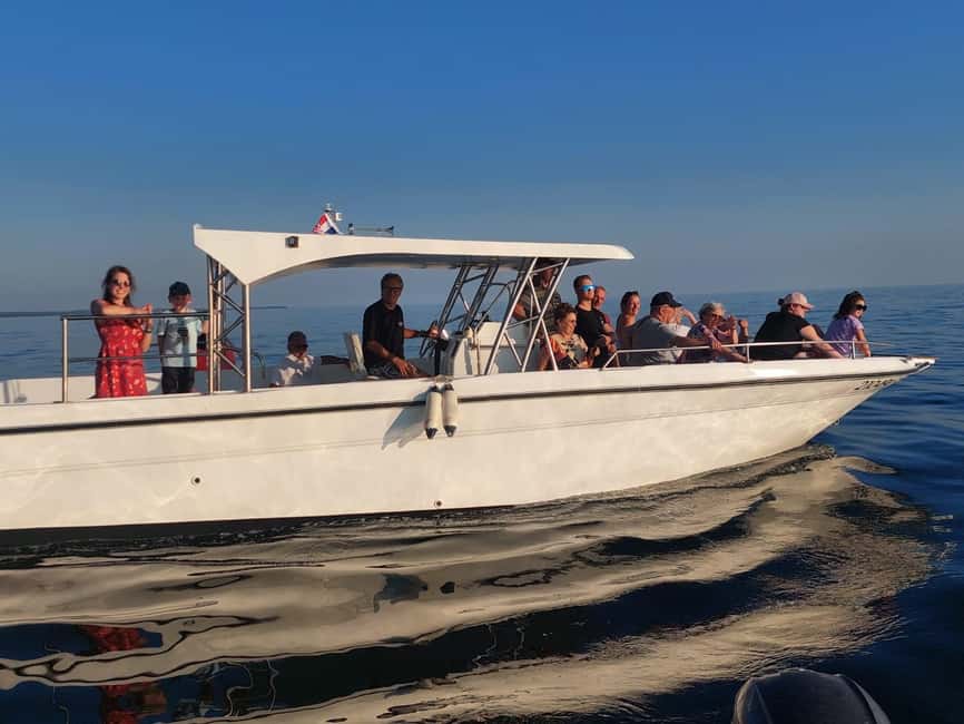Umag: Dolphinwatching & sunset panorama tour - Meeting at Fontana and boarding the Mamma Mia speed boat