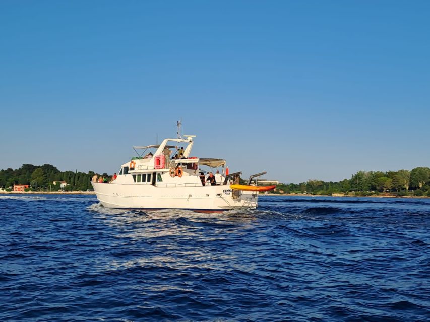 Umag: Sunset Cruise with Dolphin Spotting - What You’ll Really Do on This Cruise