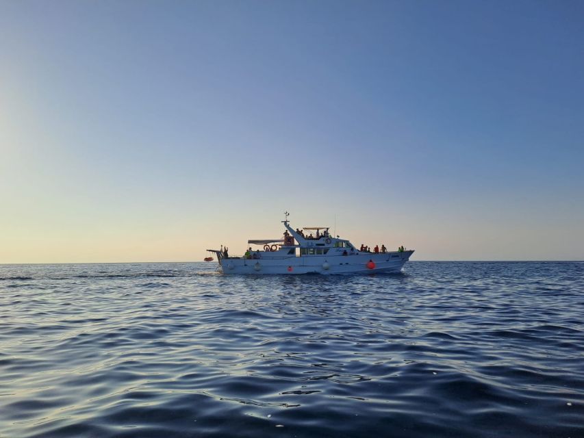Umag: Sunset Cruise with Dolphin Spotting - Why This Umag Dolphin Cruise Feels Like Good Value
