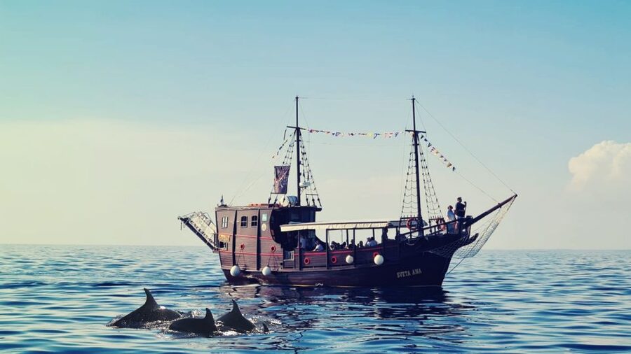 Vrsar: Dolphin Watching Boat Ride - How the Dolphin Search Works (And Why Wild Animals Change Everything)