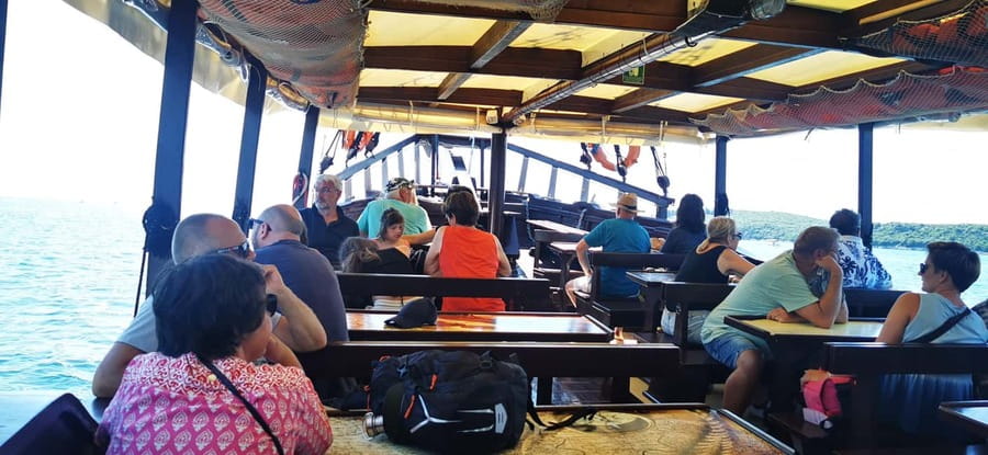 Vrsar: Dolphin Watching Boat Ride - Complimentary Drinks and Istrian White Wine: More Than a Perk