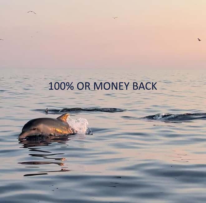 Vrsar: Dolphin-Watching Sunset Adventure with Speedboat - Vrsar Sunset Speedboat: What Your 90 Minutes Feel Like