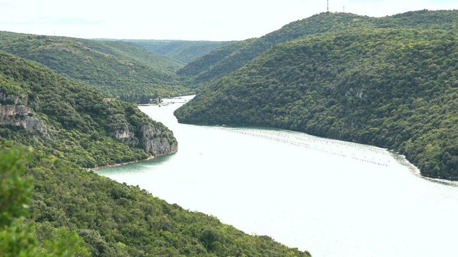 Vrsar: Lim Fjord Boat Tour with Swimming near Pirate's Cave - Should You Book This Lim Fjord Boat Tour With Pirate’s Cave Swimming?