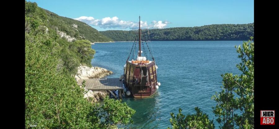 Vrsar: Lim Fjord Boat Tour with Swimming near Pirate's Cave - Who This Vrsar Boat Tour Is Best For