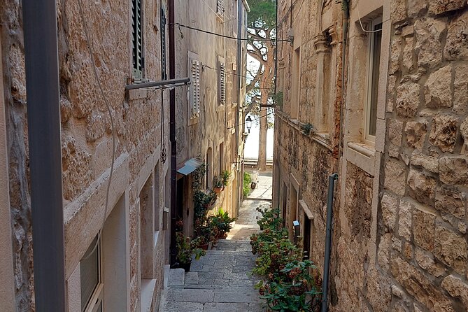 Walking Tour in old town Korcula 1 Hour - Timing, language, and planning your day in Korčula old town