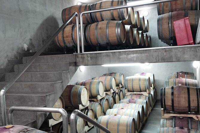 Wine Tasting Experience at the organic winery in Šišan - Why Šišan is the perfect place for an organic Trapan tasting