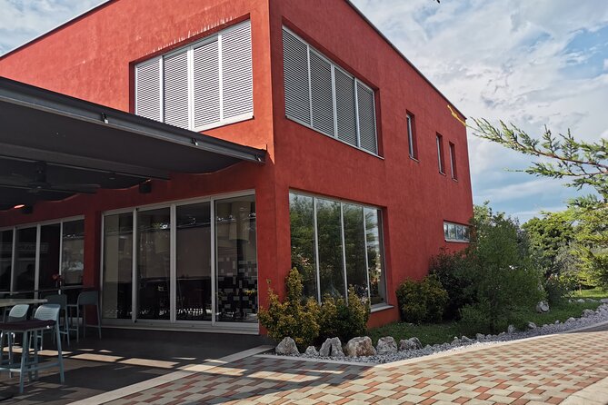 Wine Tasting Experience at the organic winery in Šišan - On-site snacks and regional specialties that keep the tasting balanced