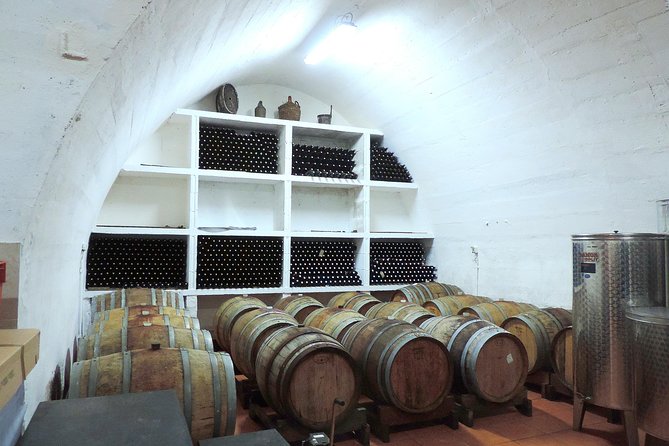 Wine Tasting & Winery Tours - Guides you might meet, and why their style matters