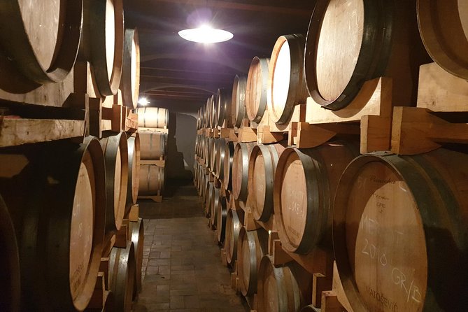 Wine Tour - The Best of Istria - Key points to know before you go
