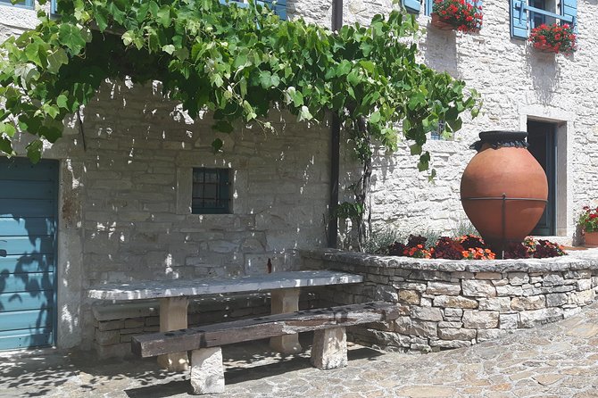 Wine Tour - The Best of Istria - Three wineries with 5 to 8 wines each, plus cellars