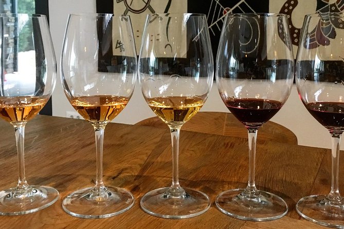 Wine Tour - The Best of Istria - Guide style and the small-group advantage