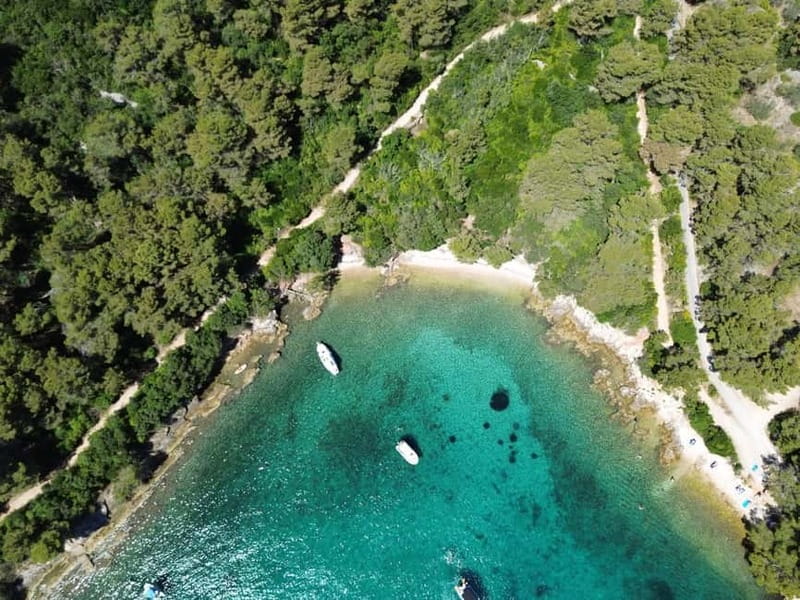 Zadar: 3 Islands Speedboat Tour with Drinks and Diving - Meeting the boat in Zadar, Ul. kralja Dmitra Zvonimira 6
