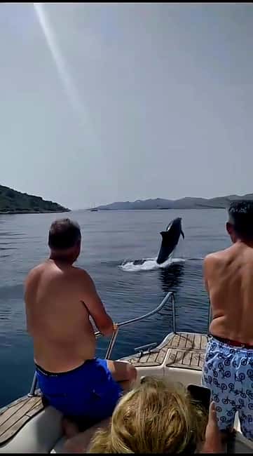 Zadar: Adventure on 6 islands, 3 lagoons, 1 cave, Bio Fruits - The 6-island route and the 3 lagoons you actually swim in