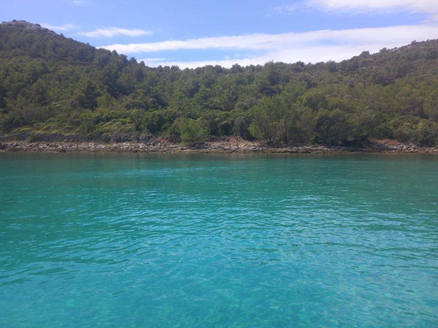 Zadar: Boat tour Half day -5 hours - Snorkeling kit and drinks included, plus the small touches that raise the score