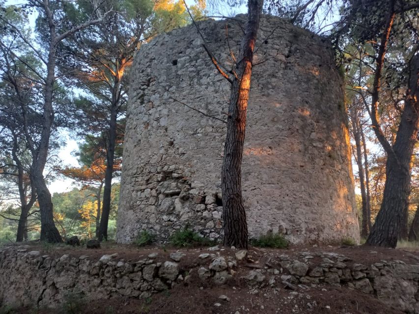 Zadar: Boat tour Half day -5 hours - Galevac, the archipelago feel, and why the route makes sense in 5 hours