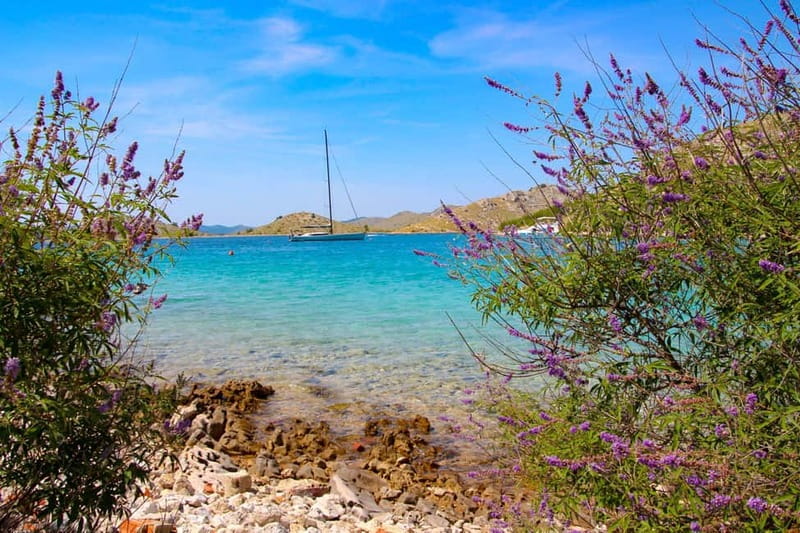 Zadar: Boat Tour with Snorkeling and Drinks - Price and value: what you get for $21, and what costs extra