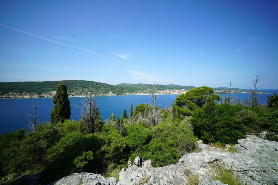 Zadar: Guided Speedboat Tour with Food, Oil & Wine Tasting - Preko on Ugljan: Village Walking, Drinks, and Bay Time
