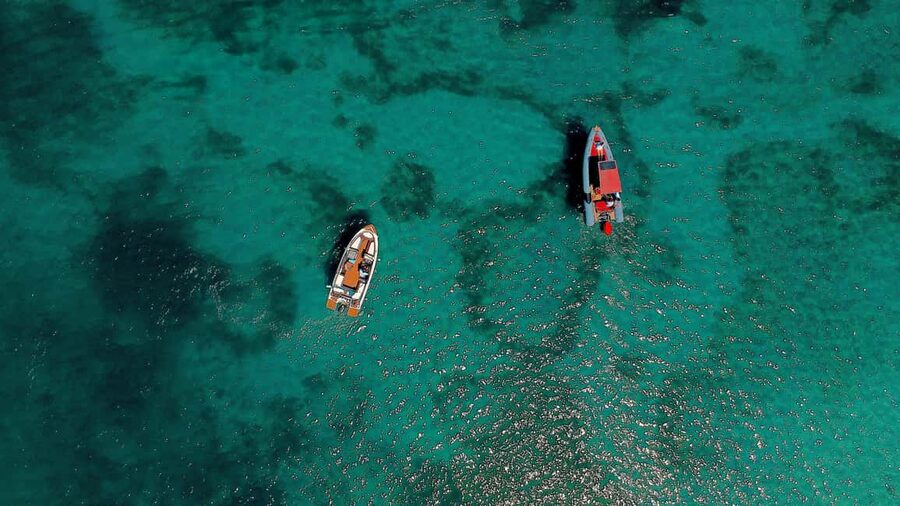 Zadar: Speedboat Tour with Snorkeling & Fruit - Speedboat Energy, Music Choices, and Safety That Feels Normal