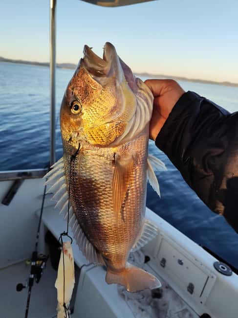 Zadar: Sunset Fishing Half-Day Guided Boat Trip - What the “Private Group” Option Changes